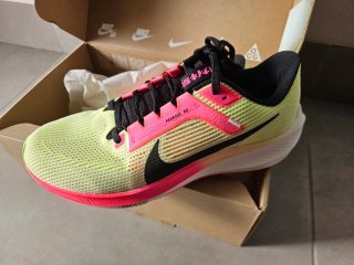 Zapatillas Nike Pegasus 40 PRM Hombre