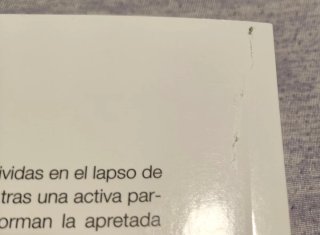 La Ilíada y la odisea