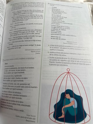 Lengua castellana y literatura 2 Bachillerato