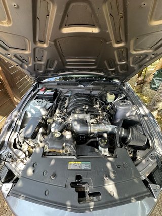 Ford Mustang GT Cabrio Manual 2006