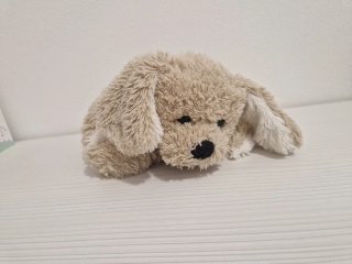 Morbido cagnolino peluche a braccialetto