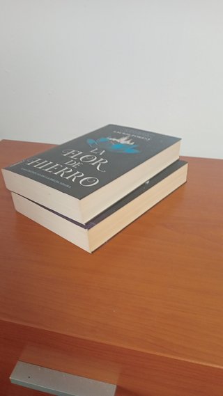 Saga Laurie Forest Las Crónicas de la Bruja Negra