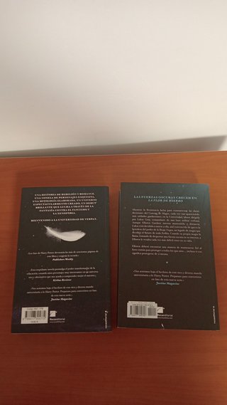 Saga Laurie Forest Las Crónicas de la Bruja Negra