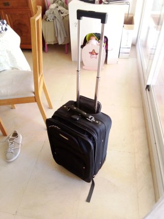 Maleta Travelpro Negra