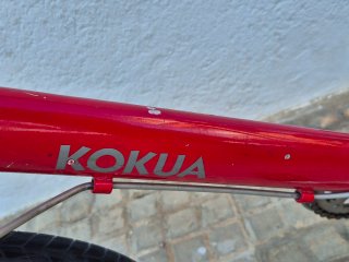 Bicicleta Infantil Kokua LIKEtoBIKE 16