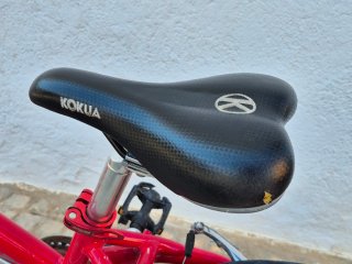 Bicicleta Infantil Kokua LIKEtoBIKE 16