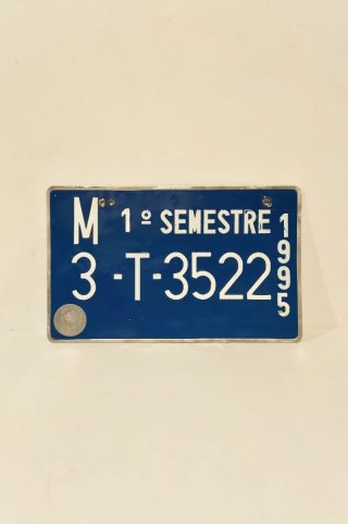 Matrícula transporte temporal 1995