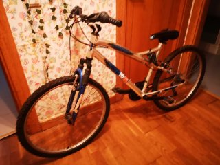 Bicicleta de marchas aluminio BDS