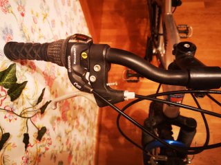 Bicicleta de marchas aluminio BDS
