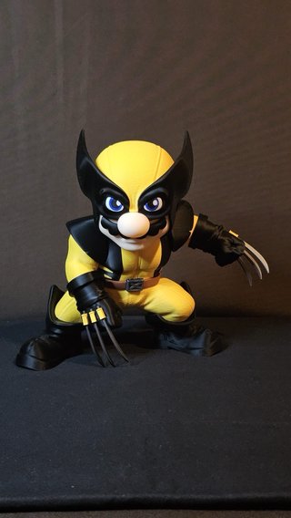Super Mario Wolverine