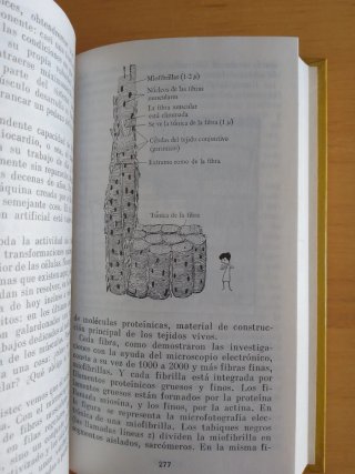 FUERZAS EN LA NATURALEZA