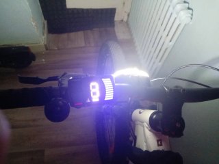 Bici eléctrica MTB 29 E-EXPL 100