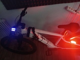 Bici eléctrica MTB 29 E-EXPL 100