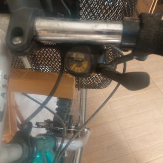 Bicicleta GAC Savage