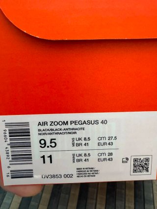 Nike Air Zoom Pegasus 40 Negra DV3853-002 Talla 43