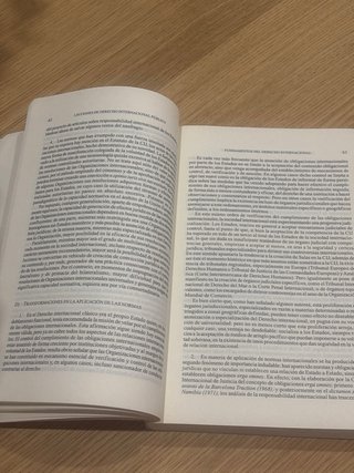 Lecciones de derecho internacional público