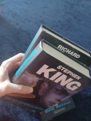 Lote Libros de Stephen King y Richard Bachman