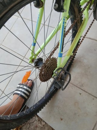 Bicicleta Rockrider Verde