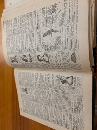 Diccionario enciclopédico ilustrado, muy antiguo