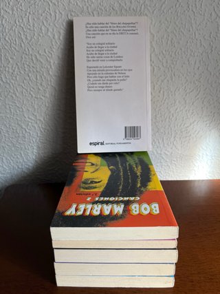 Lote libros música / letras en Inglés y Español