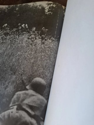 Revista signar selección fotografías julio 1941