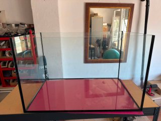 Acuario 200L de cristal