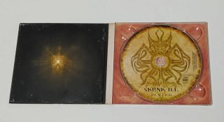 Skunk D.F. - Dentro CD