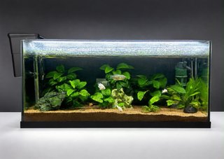 Acuario con filtro y luz