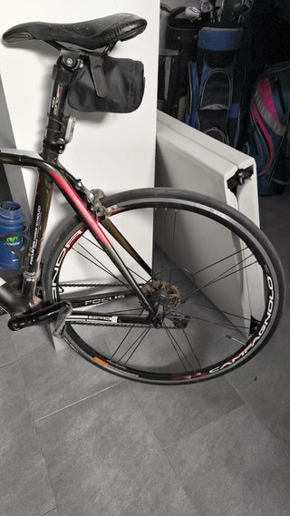 Bicicleta FOCUS CAYO S