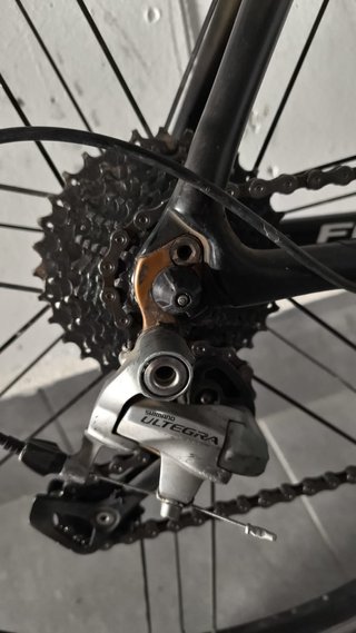 Bicicleta FOCUS CAYO S