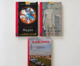 Lote 3 libros instituto