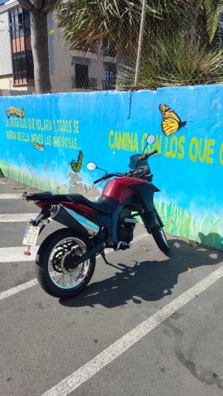 Derbi Terra 2008