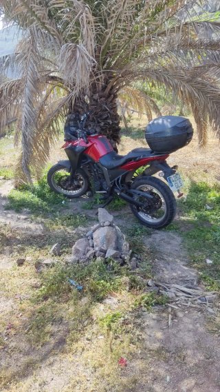 Derbi Terra 2008