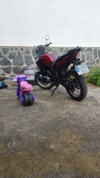 Derbi Terra 2008
