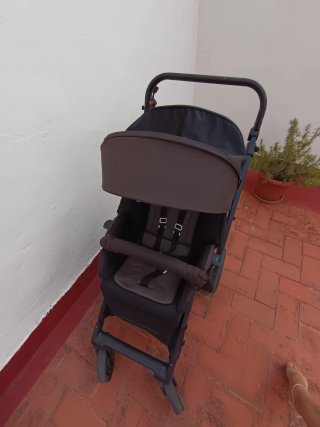 Carro Jane Muum