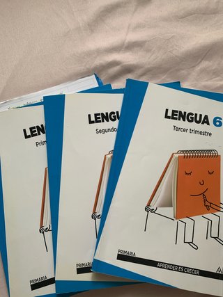 Lengua 6 Primaria