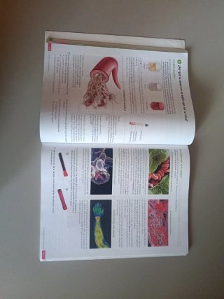 Biología y Geología. 3 Secundaria. Revuela.