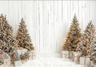 Decorado Navidad Fotografía Profesional
