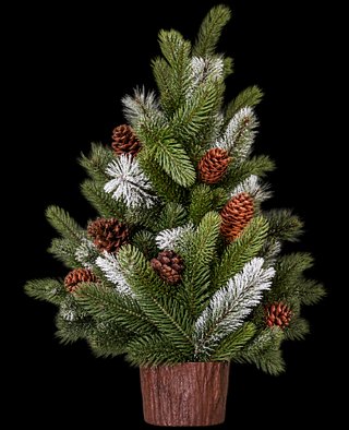 Decorado Navidad Fotografía Profesional