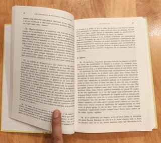 Gramática de la lengua española