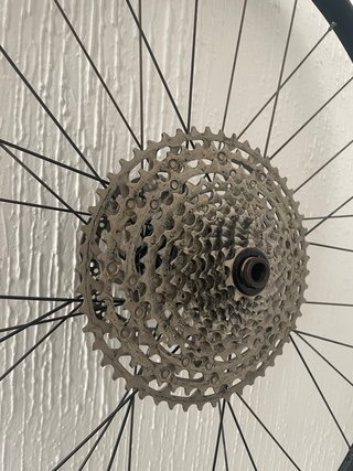 Rueda Shimano 29 con Cassette
