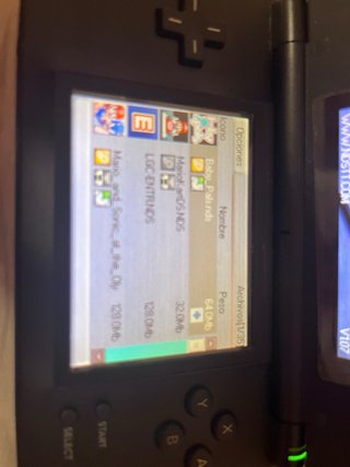Pack 2 Nintendo DS + Estuche + 38 Juegos