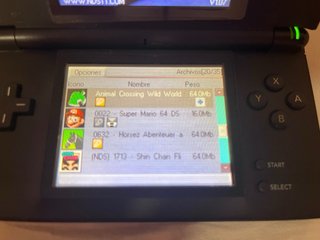 Pack 2 Nintendo DS + Estuche + 38 Juegos