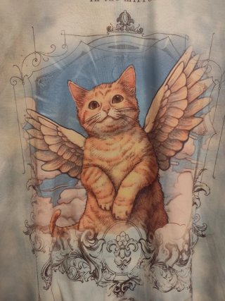 Camiseta Oversize Gato Naranja