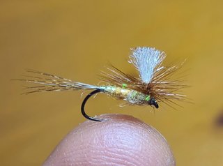 MOSCAS PARA LA PESCA DE TRUCHAS