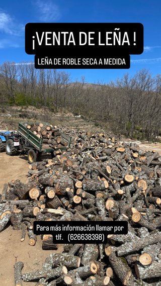 Leña de roble seca a medida
