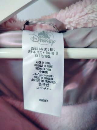 Abrigo Disneyland Paris