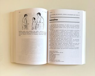 Libros aprendizaje Latín. Lote.