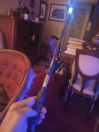 Varita Mágica Harry Potter