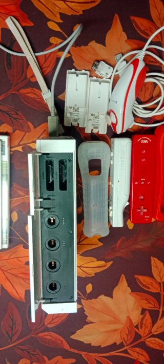 Nintendo Wii Blanca